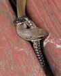 Snake eating a snake on our backyard deck - 07-09-2011